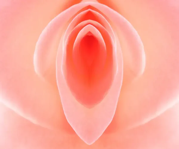 labia puffing image representation